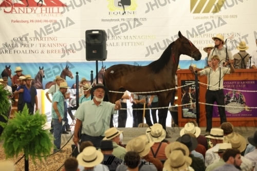 JHM_2773