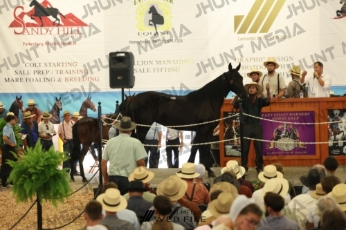 JHM_2782