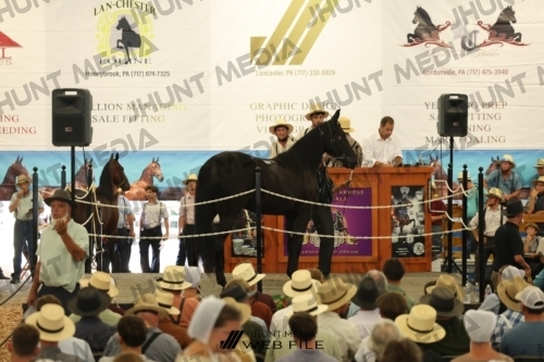 JHM_2784