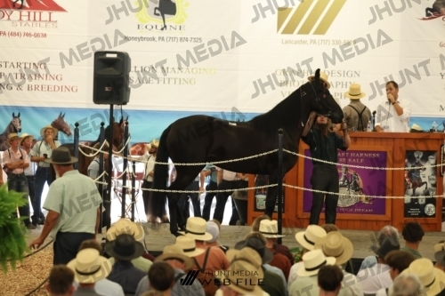 JHM_2786