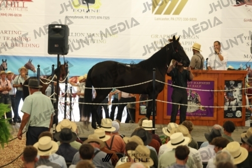 JHM_2787
