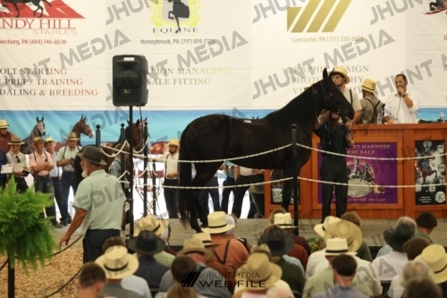 JHM_2789