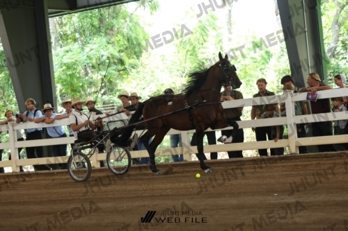 JHM_0209