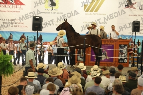 JHM_2791