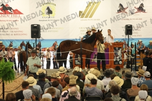 JHM_2801