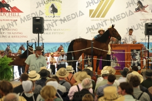 JHM_2802