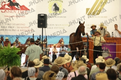 JHM_2803