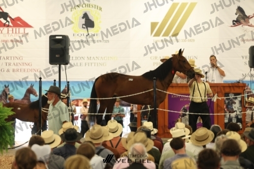 JHM_2804