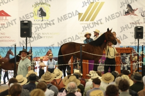 JHM_2805