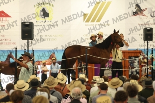 JHM_2806