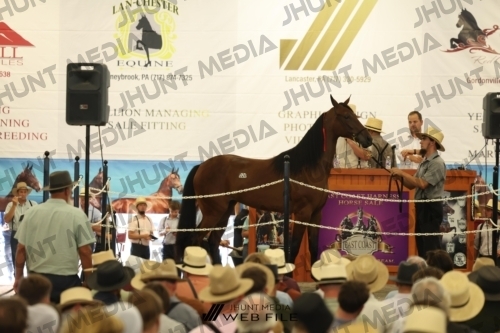 JHM_2810