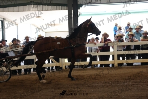 JHM_1172