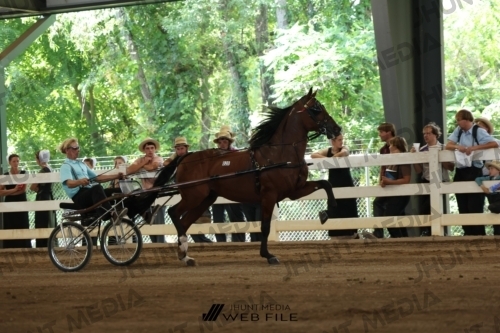 JHM_1177