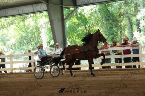JHM_1180