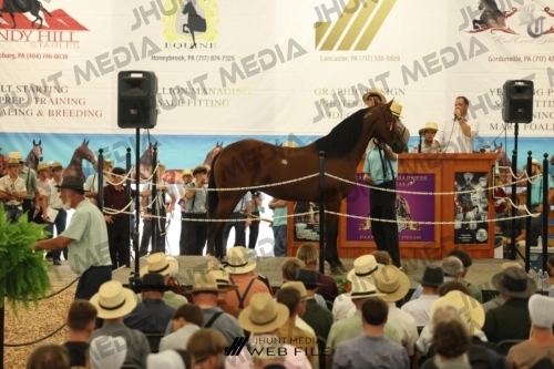 JHM_2825