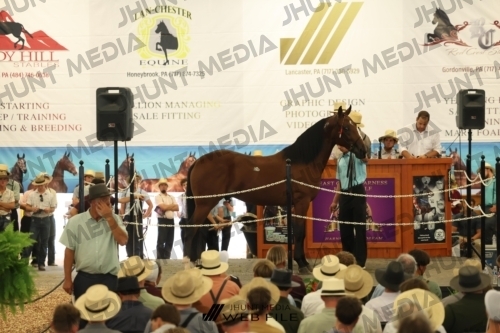 JHM_2826