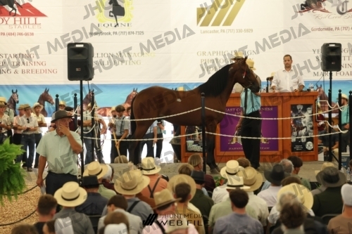 JHM_2827