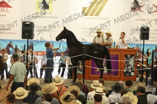 JHM_2834