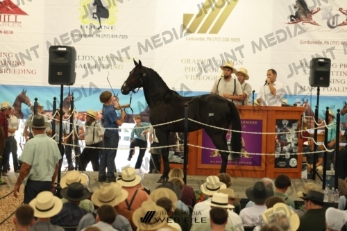 JHM_2835