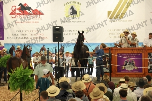 JHM_2837