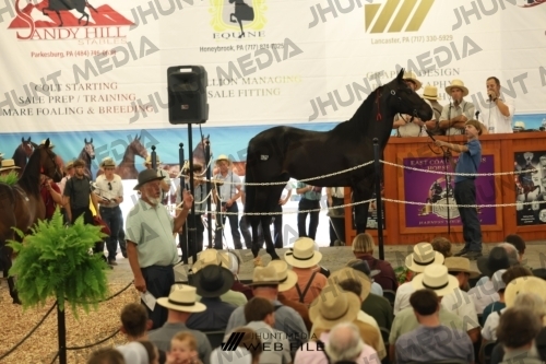JHM_2841