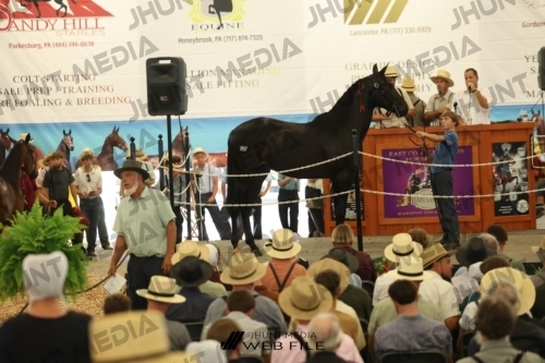 JHM_2842