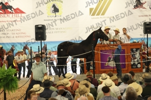 JHM_2844