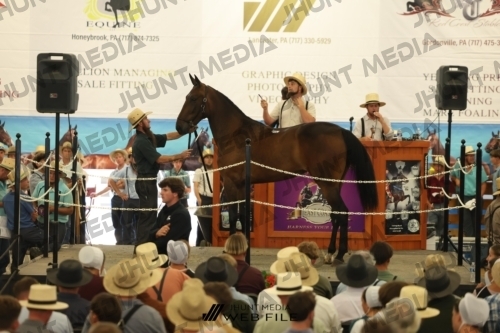 JHM_2881