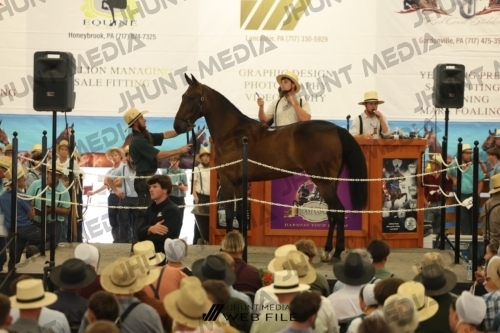 JHM_2882