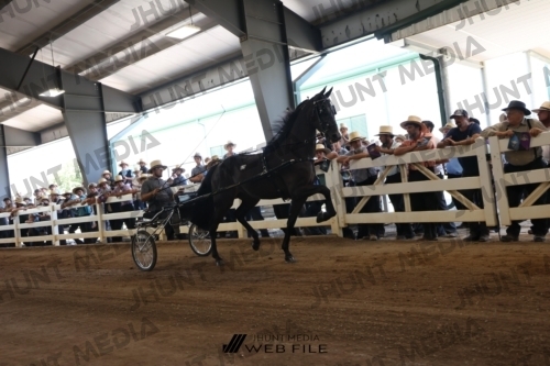 JHM_1470