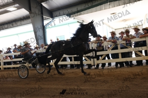 JHM_1478