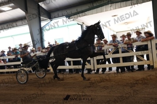 JHM_1479