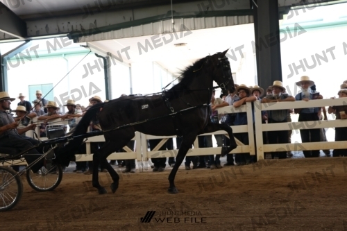 JHM_1656