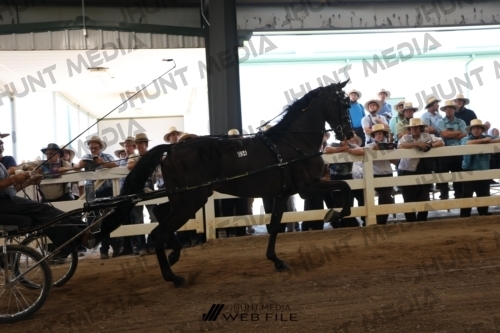 JHM_1664