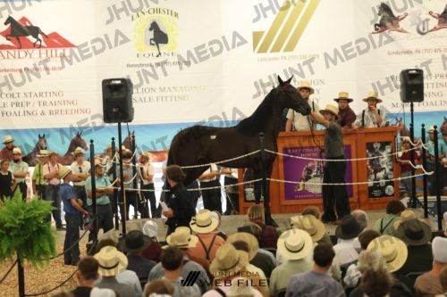 JHM_2897