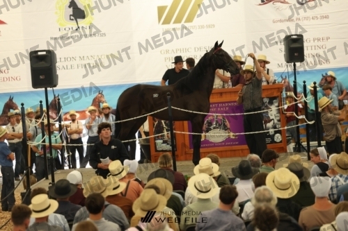 JHM_2902