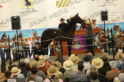 JHM_2903