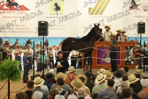 JHM_2905