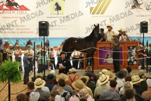 JHM_2906