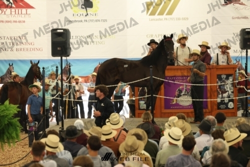 JHM_2909