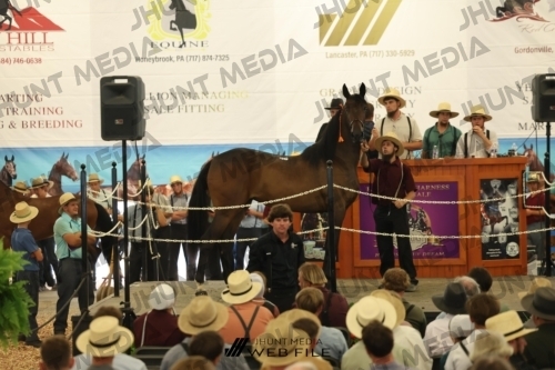 JHM_2918