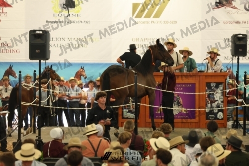 JHM_2926