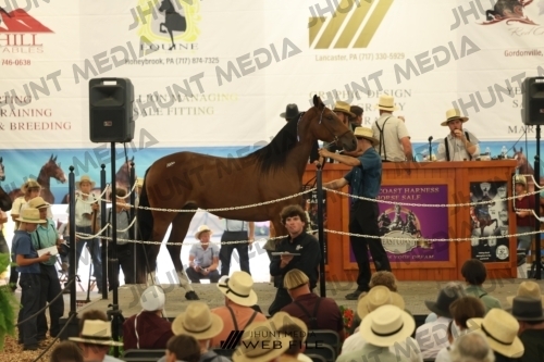 JHM_2941