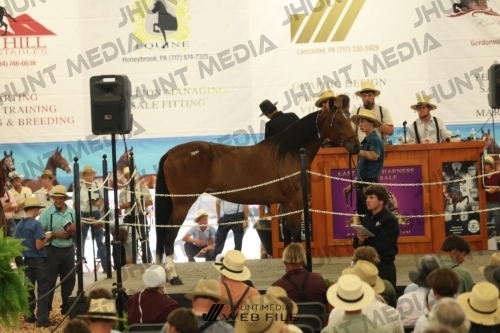 JHM_2944