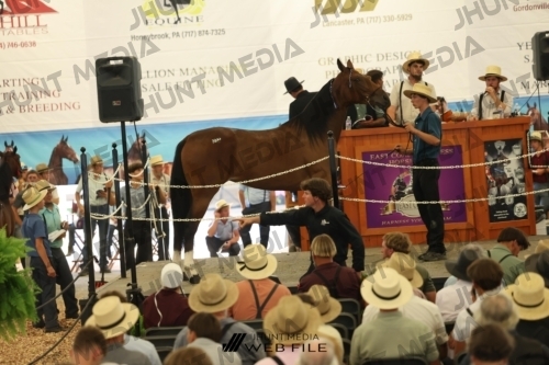 JHM_2947