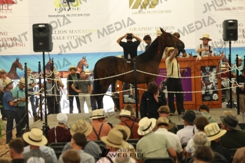 JHM_2949