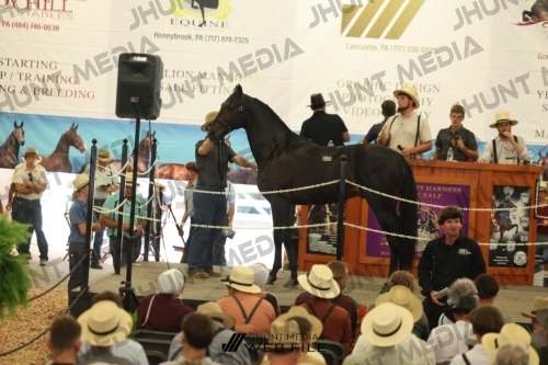 JHM_2960