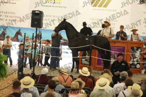 JHM_2961