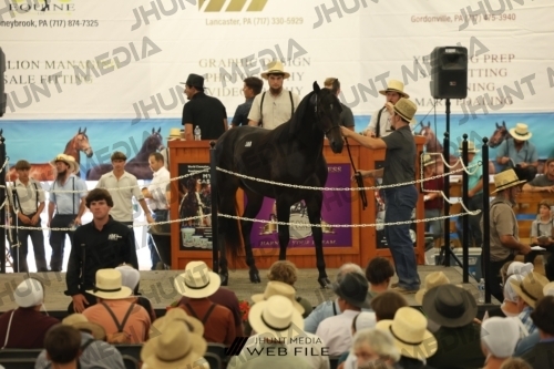JHM_2963