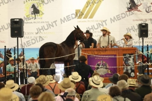 JHM_2971